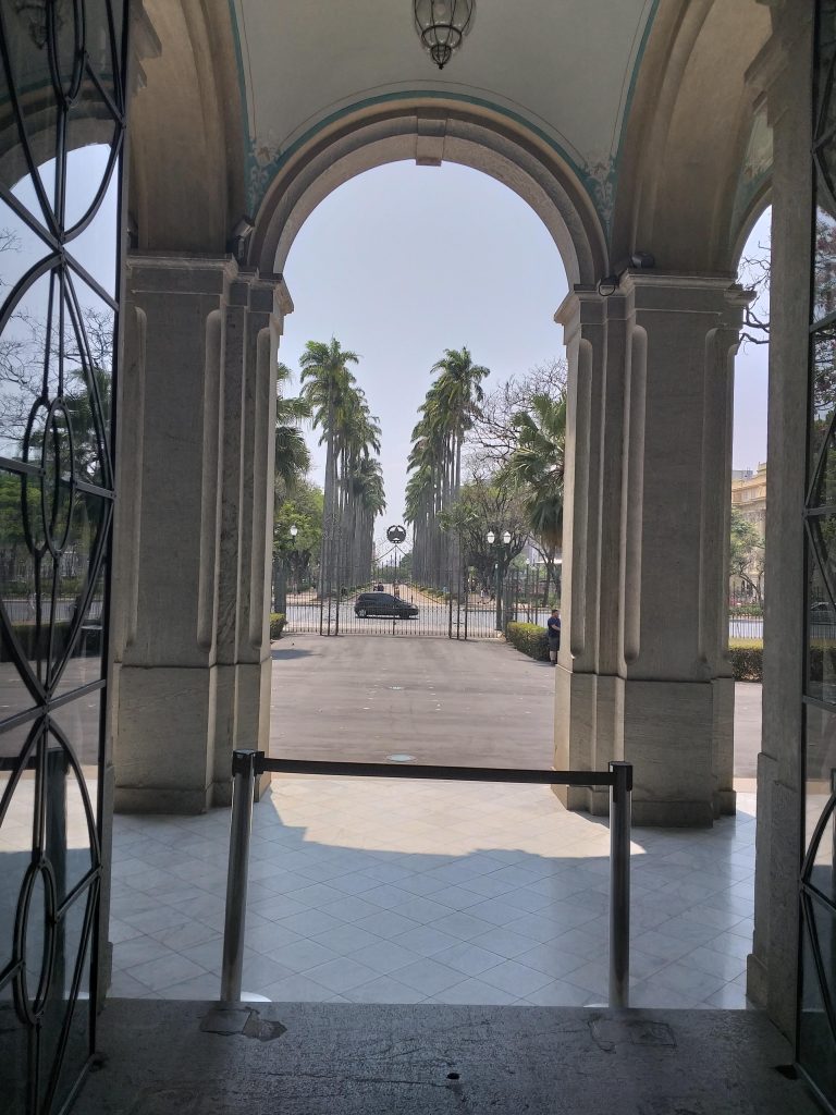 Vista das palmeiras da Praça da Liberdade - Belo Horizonte - MG