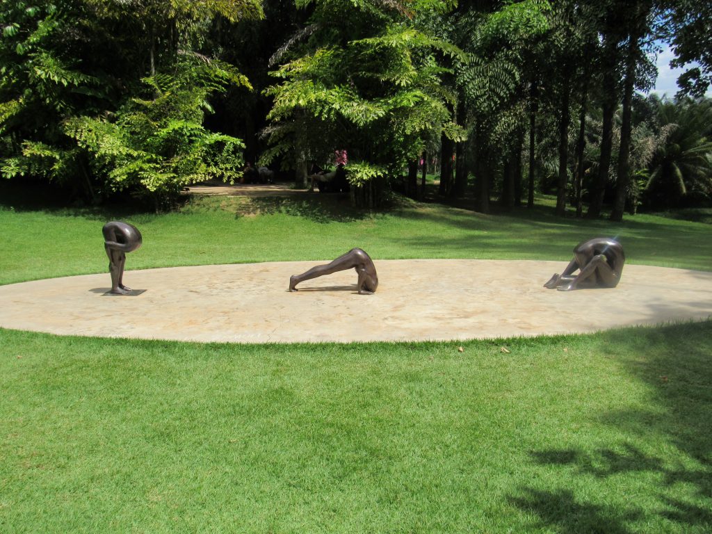 Esculturas Edgard de Souza - Inhotim