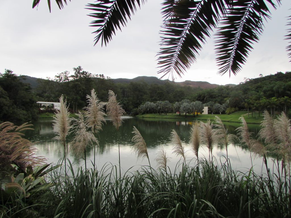 Inhotim - Brumadinho - MG