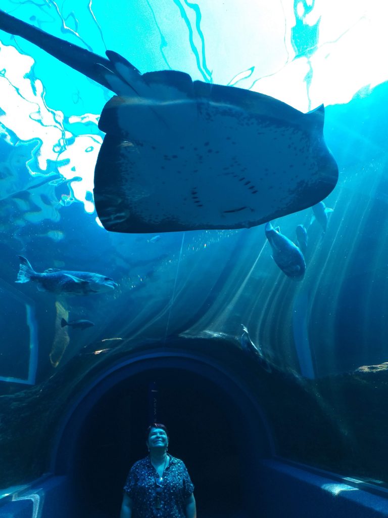 Two Oceans Aquarium - Cidade do Cabo - África do Sul 