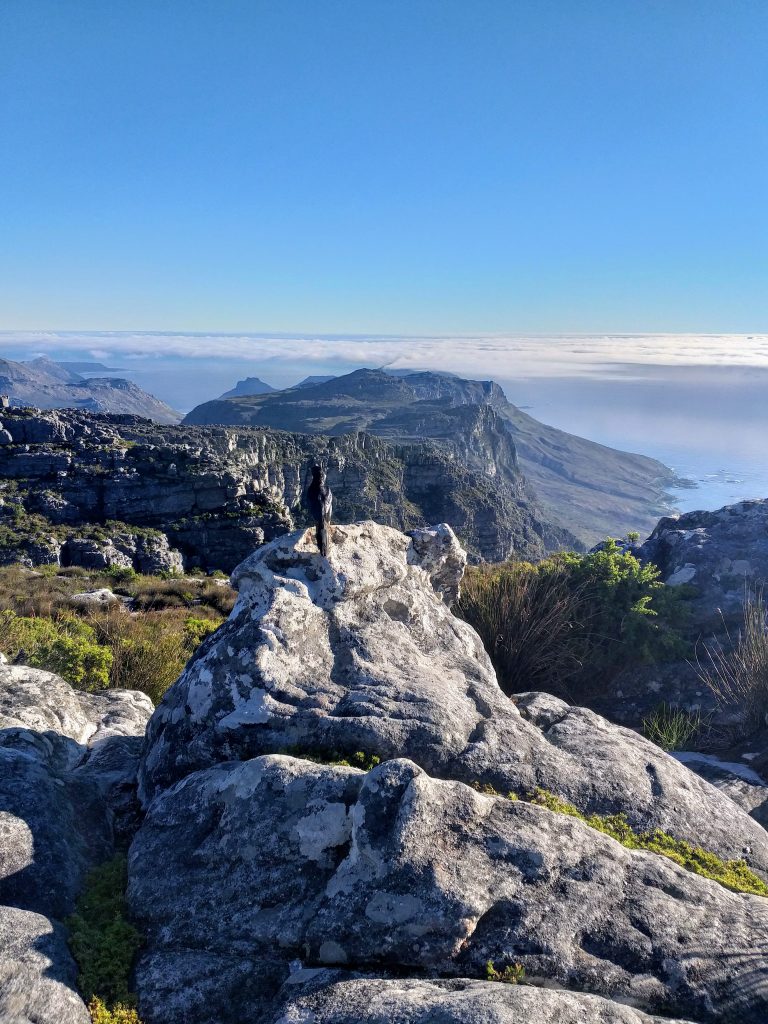 Trilha no topo da Table Mountain - Cidade do Cabo - África do Sul