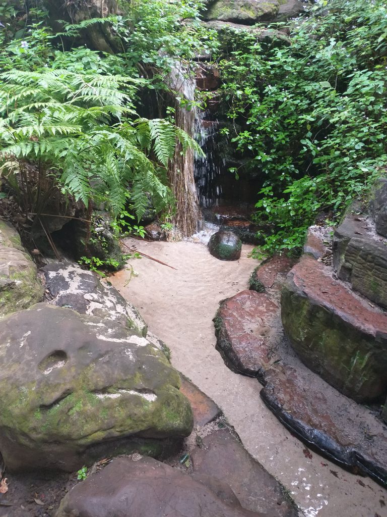 Kirstenbosch Garden - Cidade do Cabo - África do Sul