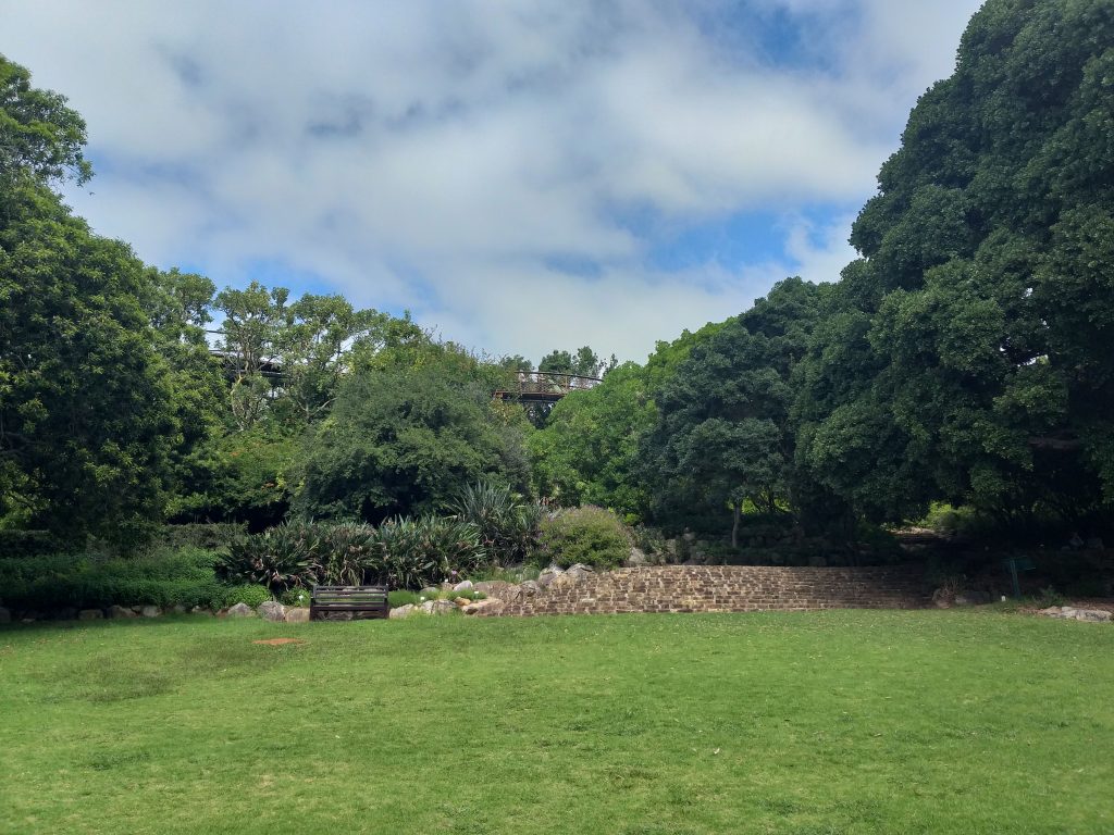 Kirstenbosch Garden - Cidade do Cabo - África do Sul