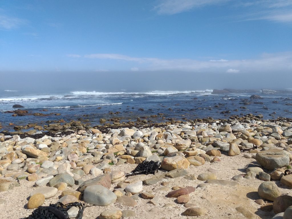 Praia no Cabo da Boa Esperança - Cidade do Cabo - África do Sul