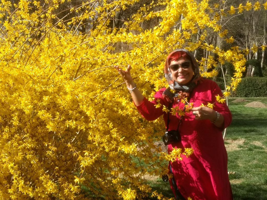Primavera no Irã